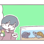 ニオウとジロウを飼い始めた頃の話